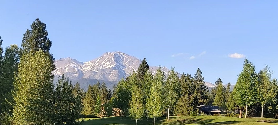 Vista de montaña con bosque verde al amanecer
